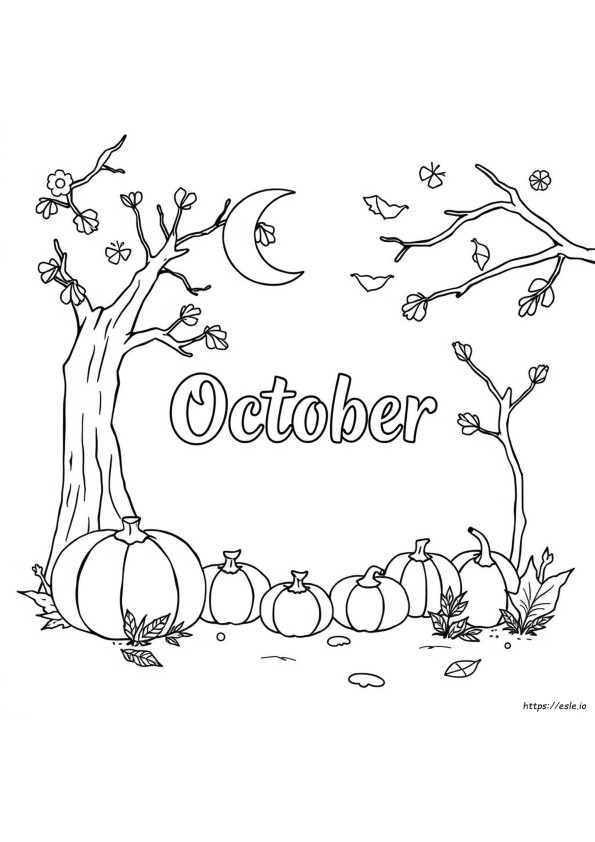 Was Sind Die Farben Für Oktober