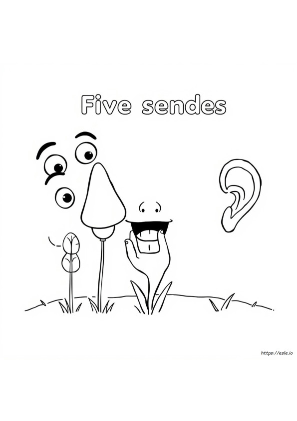 Five Senses Coloring Pages For Preschool