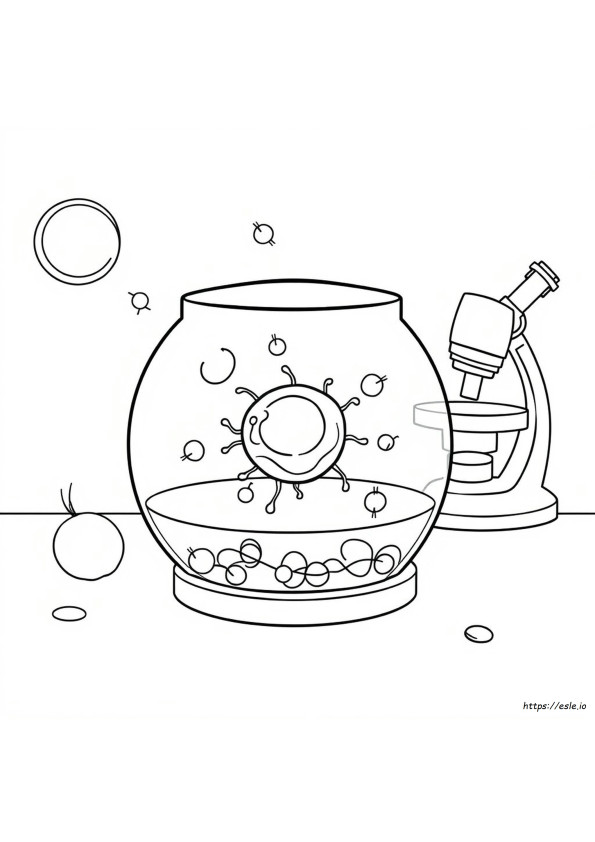 Cell Structure Coloring Page