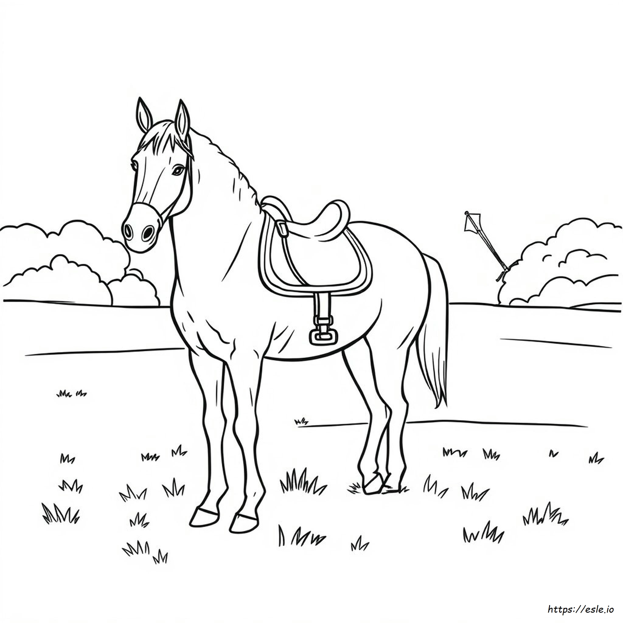 Horse Saddle Coloring Pages