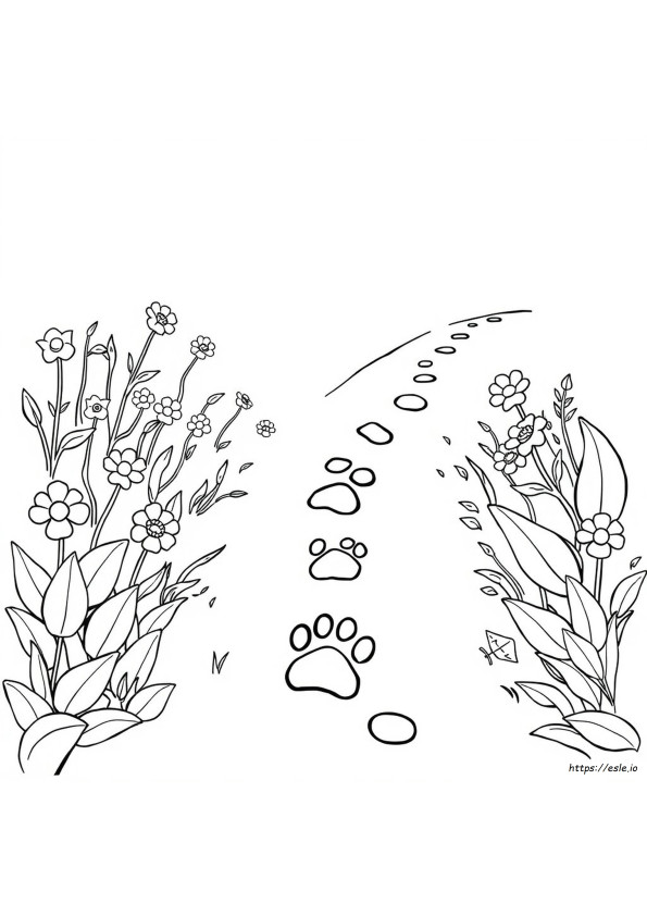 Coloring Paw Prints