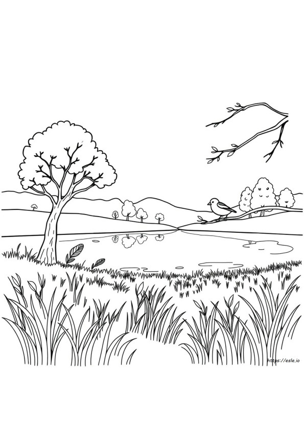 Tulostettavat Värityskirjat Stressin Lievitykseen, Värityskuvat Aikuisille