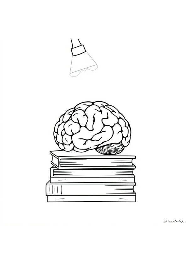Comment Colorier Un Cerveau