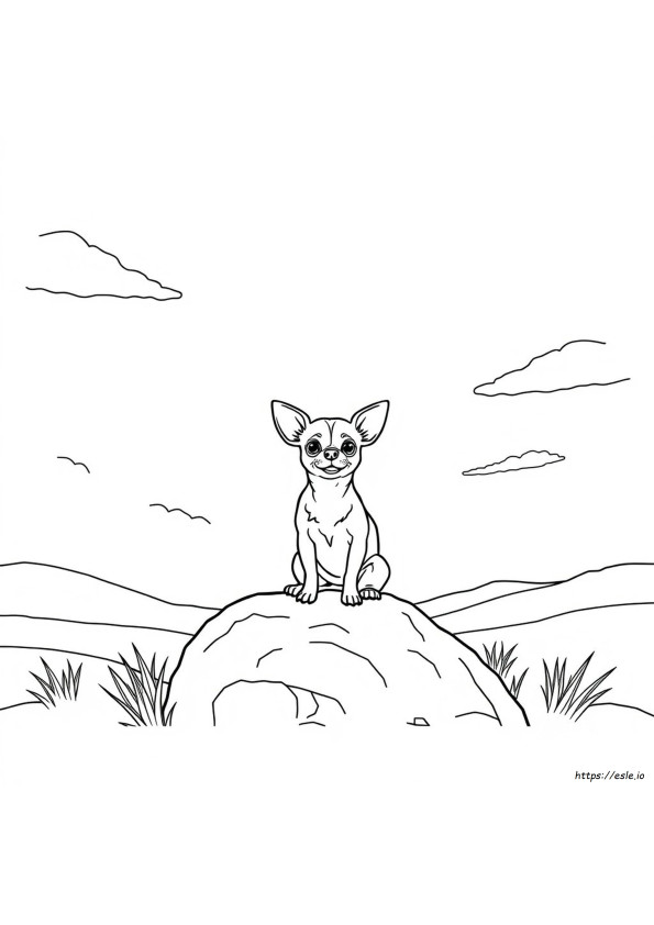 Chiuaua Coloring Pages
