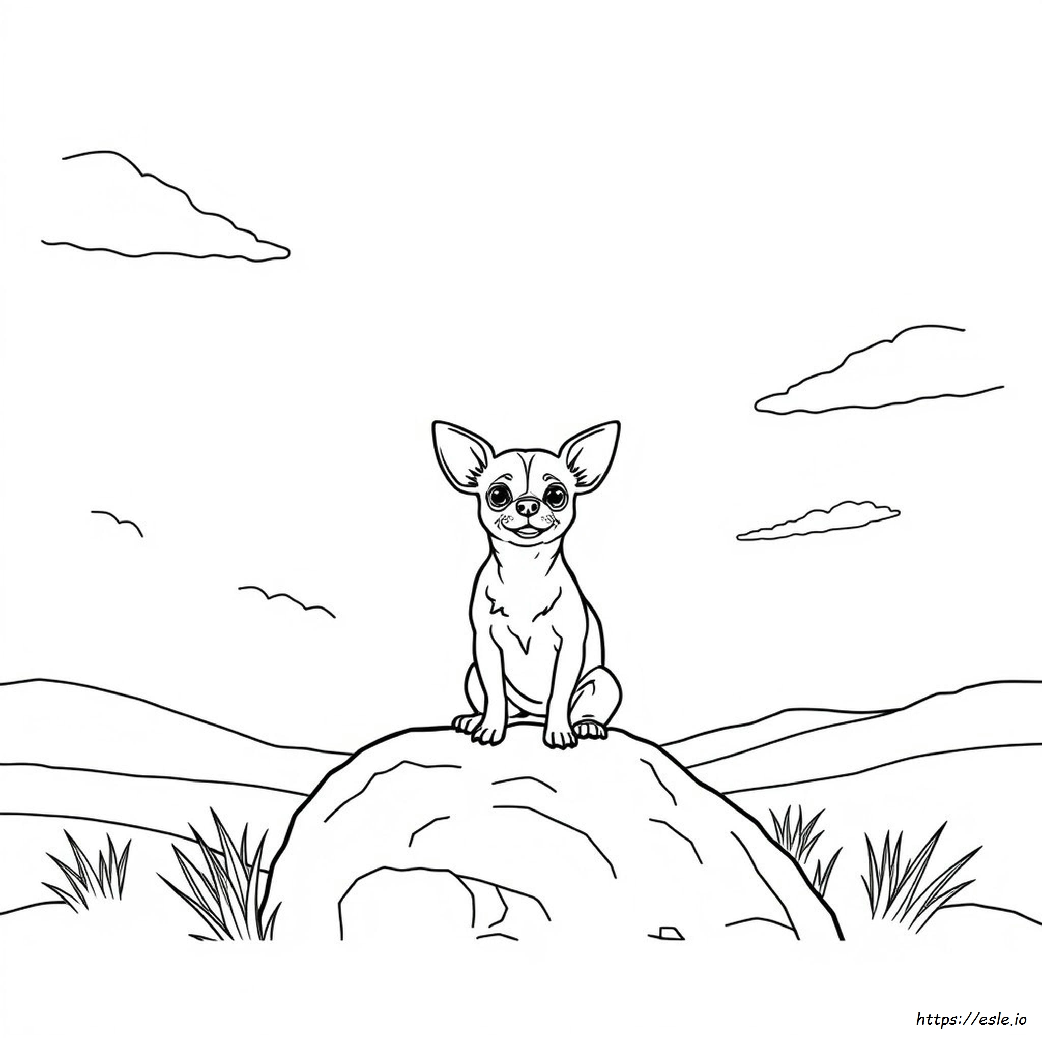 Chihuahua Coloring Page - Free Printable for Kids