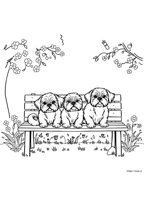 Printbare Shih Tzu Kleurplaat