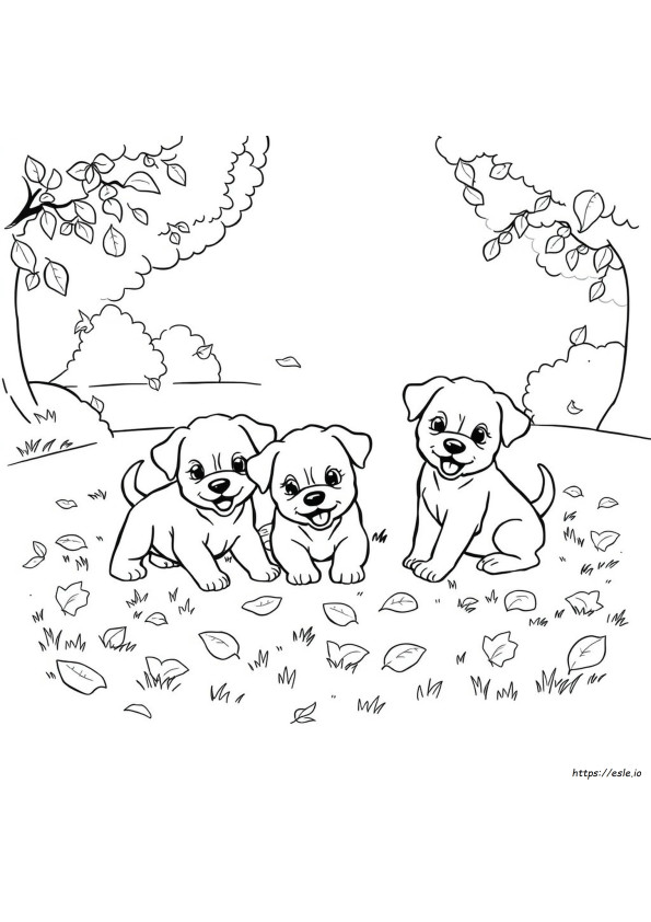 Pictures Of Puppies Coloring Pages