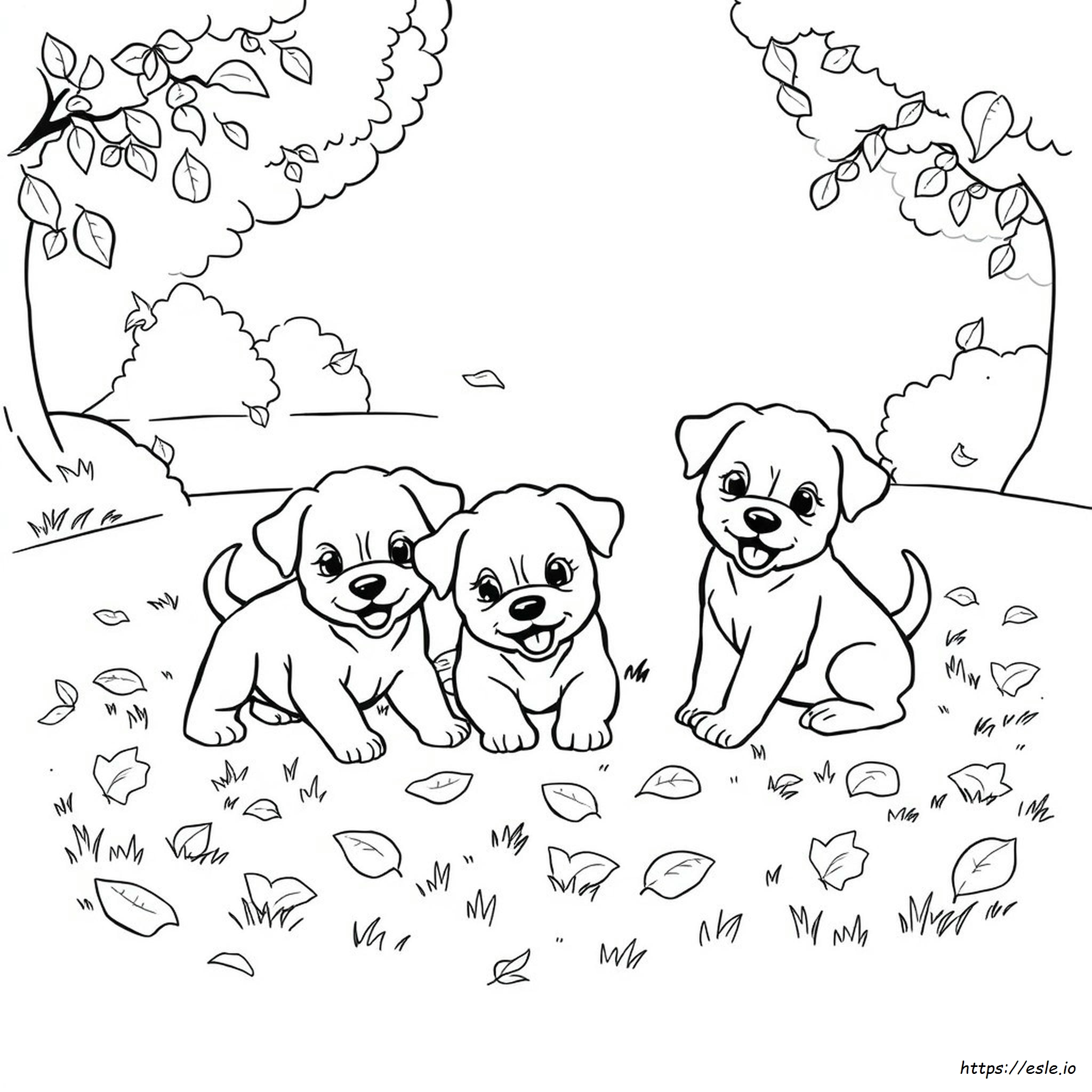 Gambar Mewarnai Anjing Anak