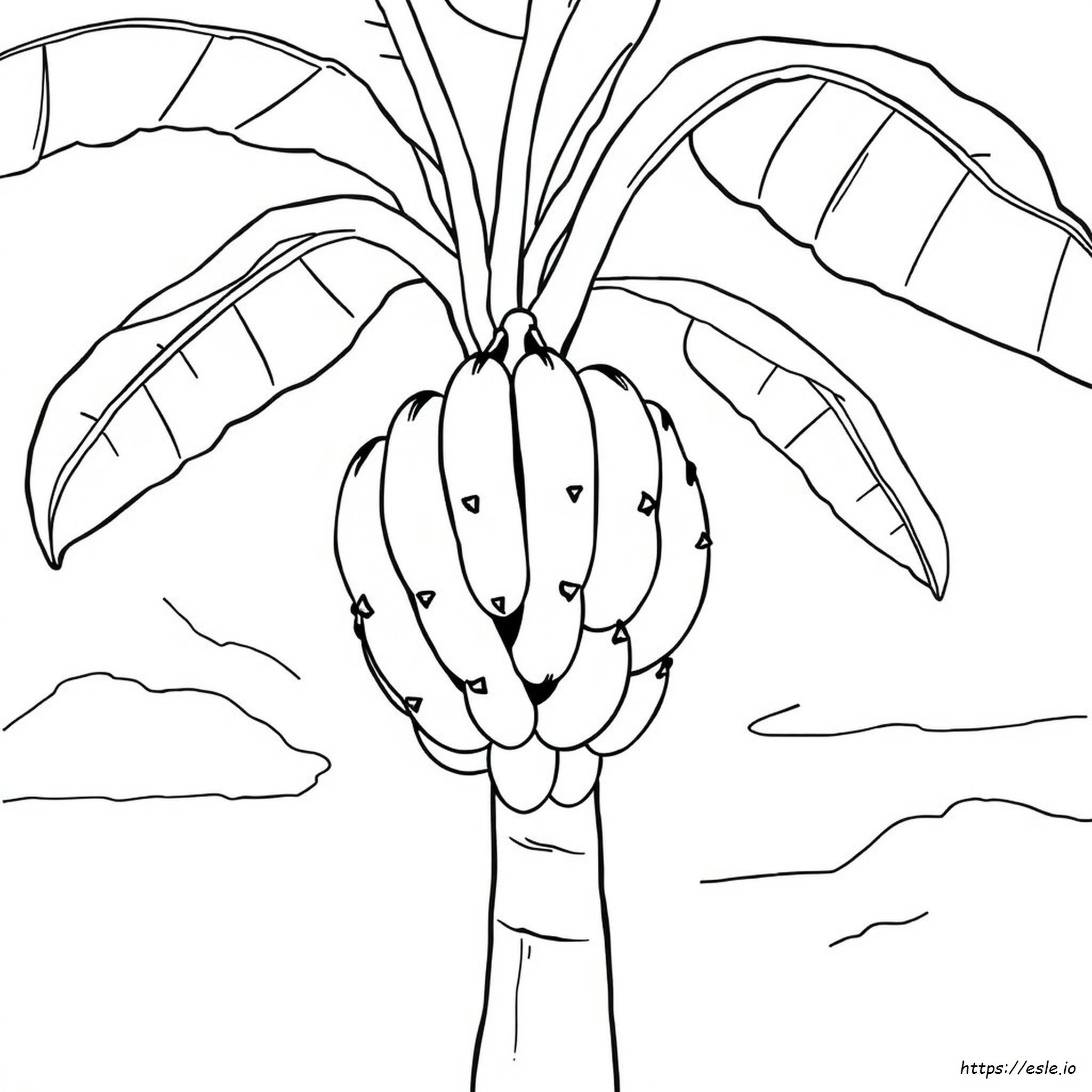 Bananas To Colour