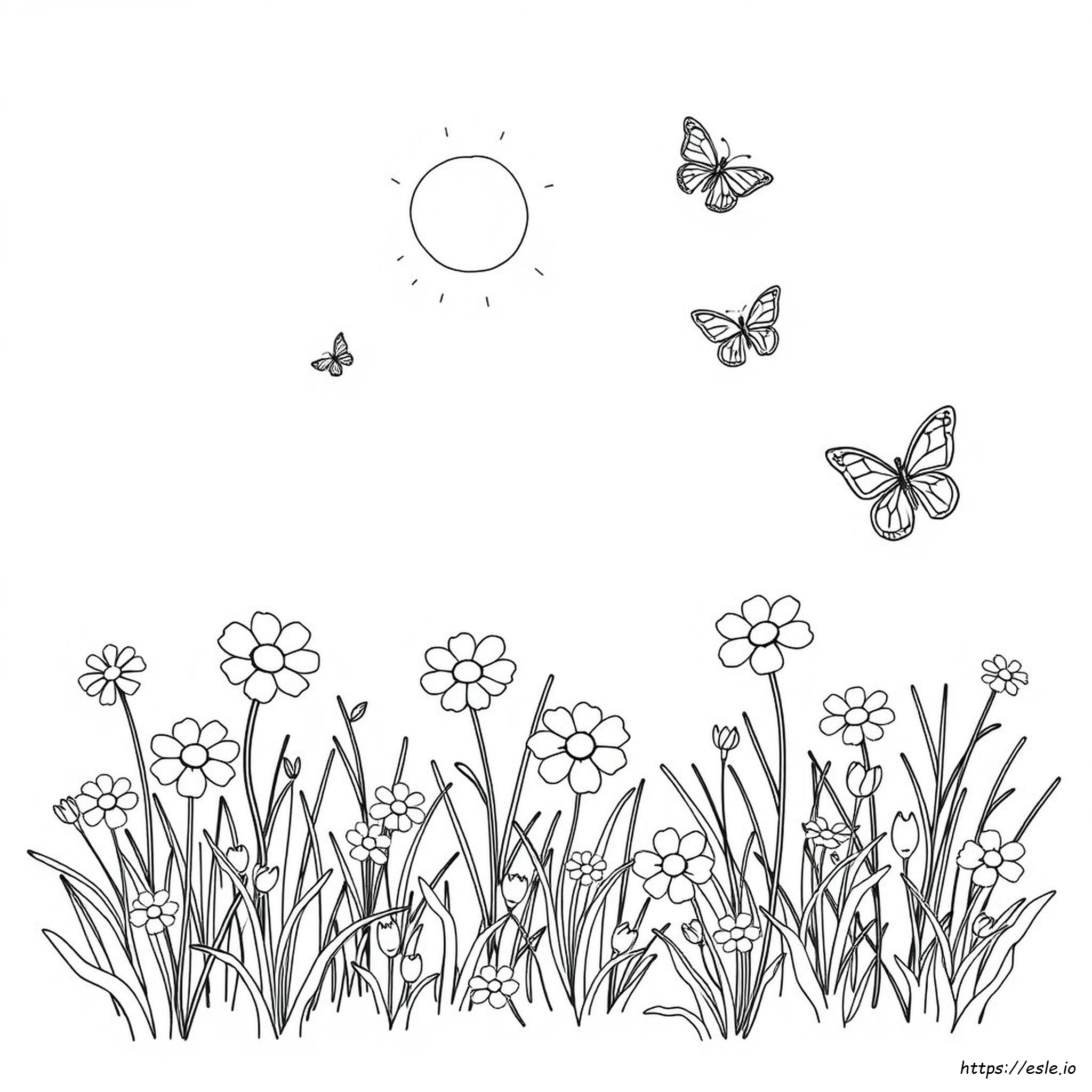 A4 Size Coloring Pictures - Free Printable