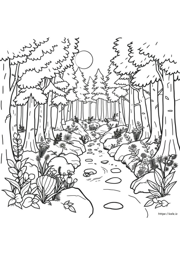 Environmental Coloring Sheets