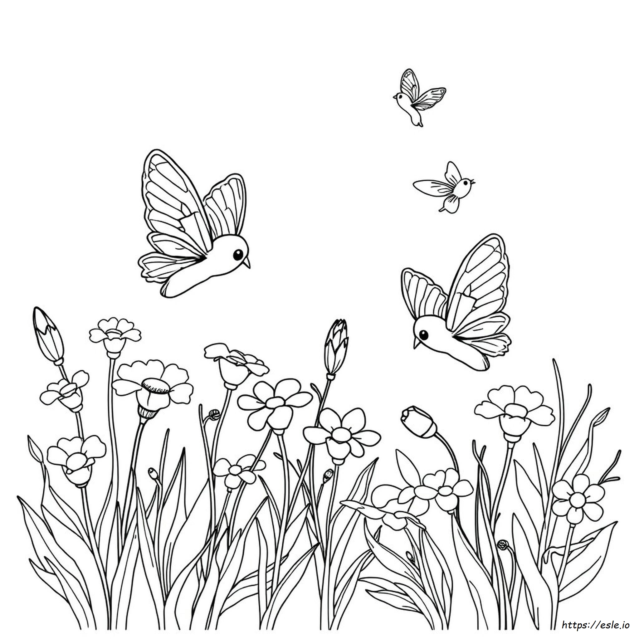 Papillon Ausmalbild zum Ausdrucken