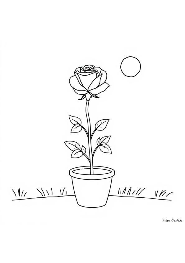 Flower Drawing Easy Rose Coloring Pages