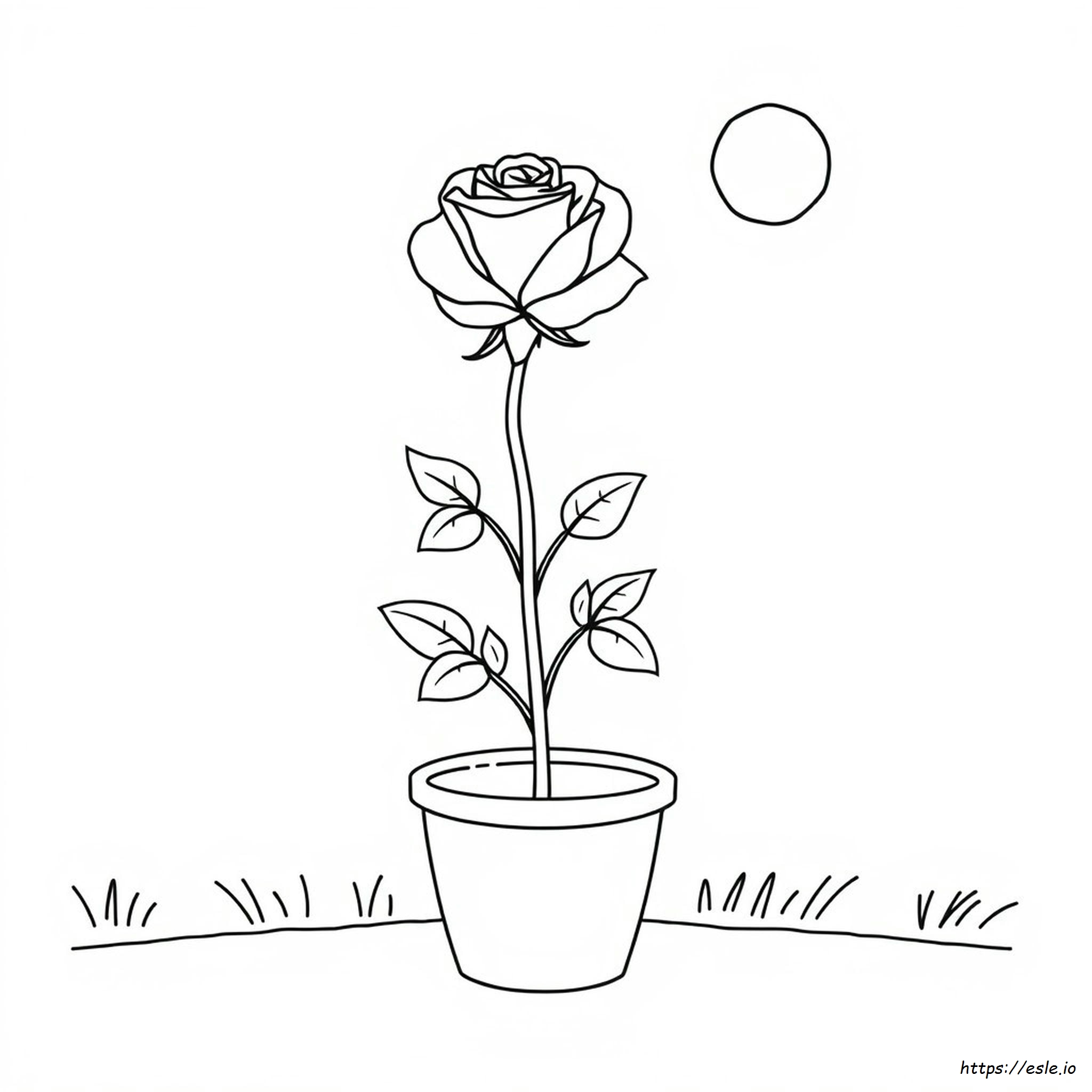 Flower Drawing Easy Rose Coloring Pages