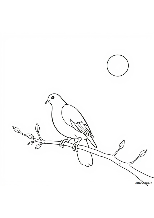 Is White Dove And Dove White The Same Color