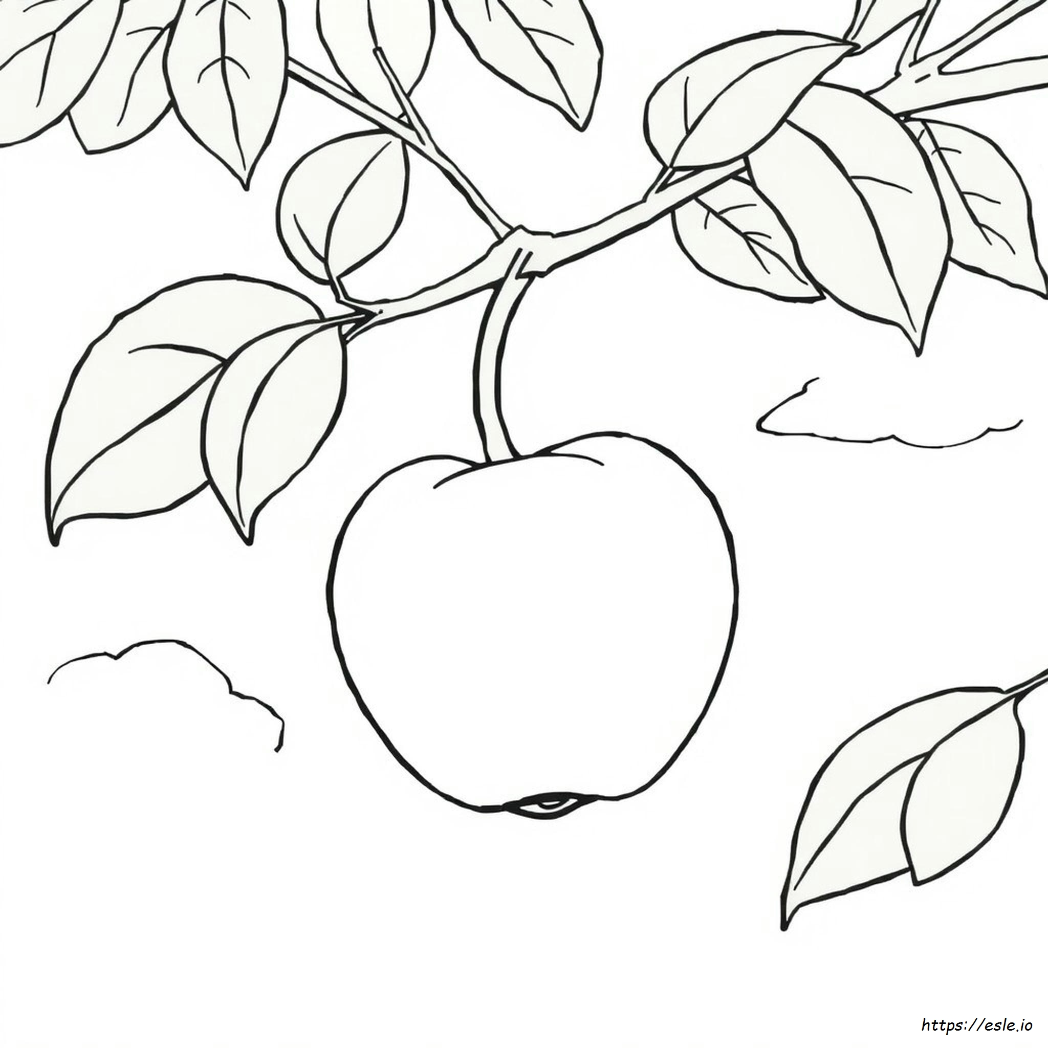 Annona Da Colorare