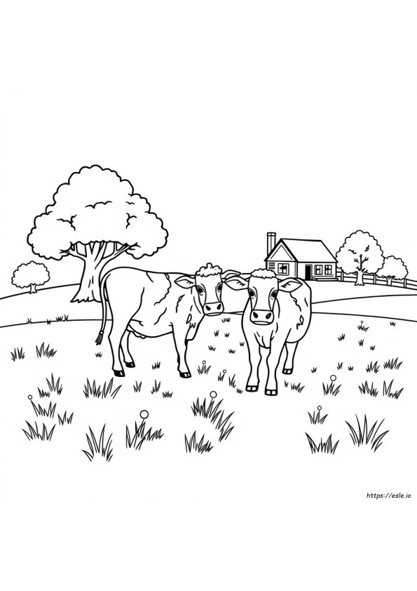 Colouring Pages Cows
