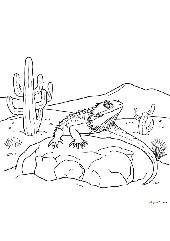Bearded Dragon Coloring