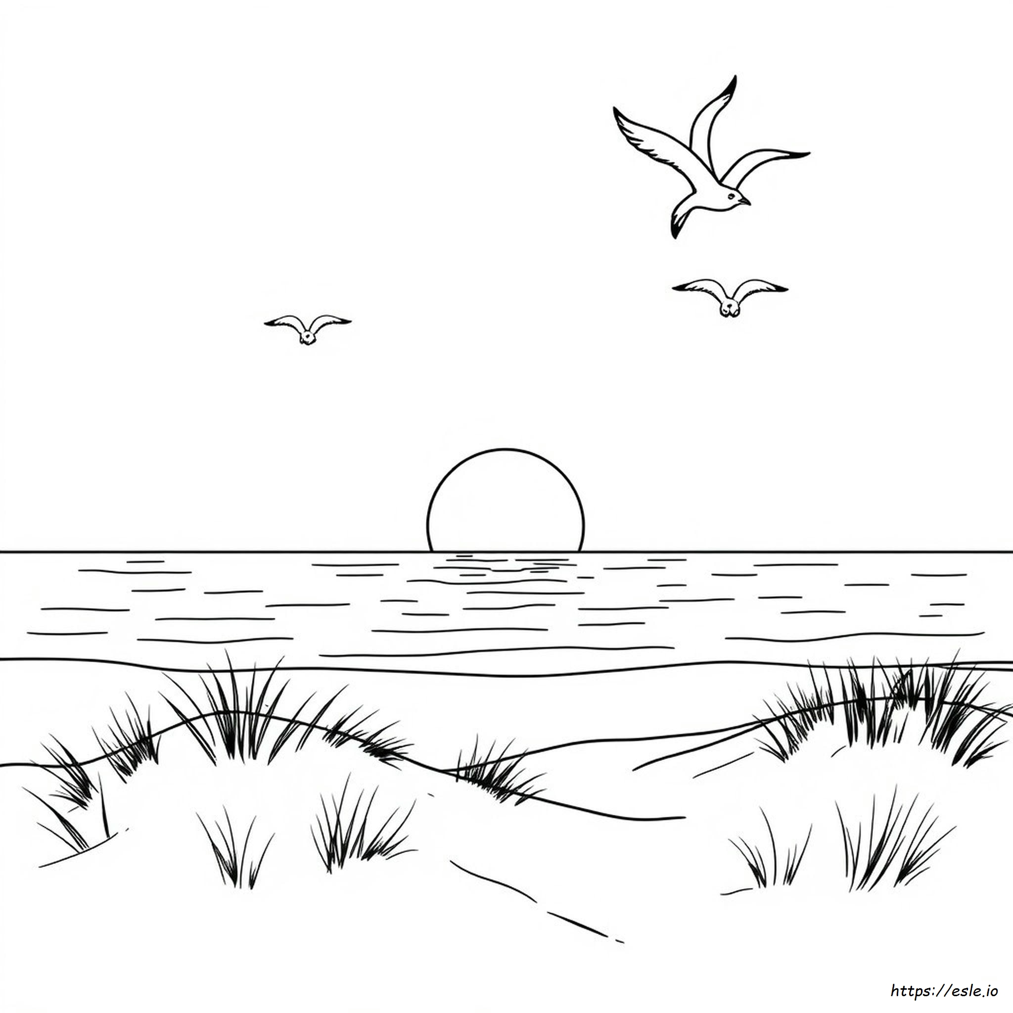 Summer Coloring Pages For Seniors