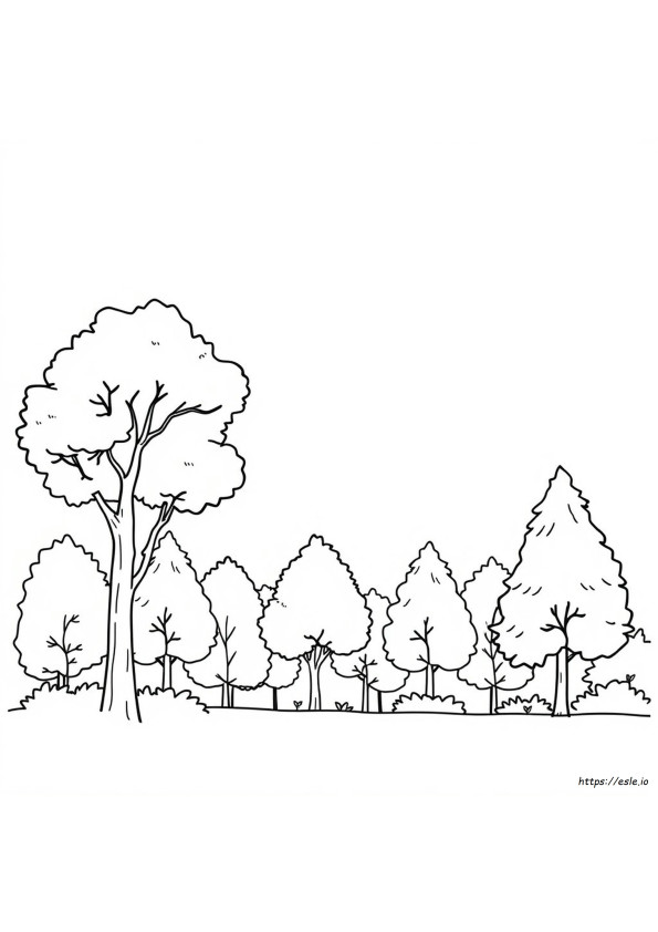 Print Page Background Color In Word