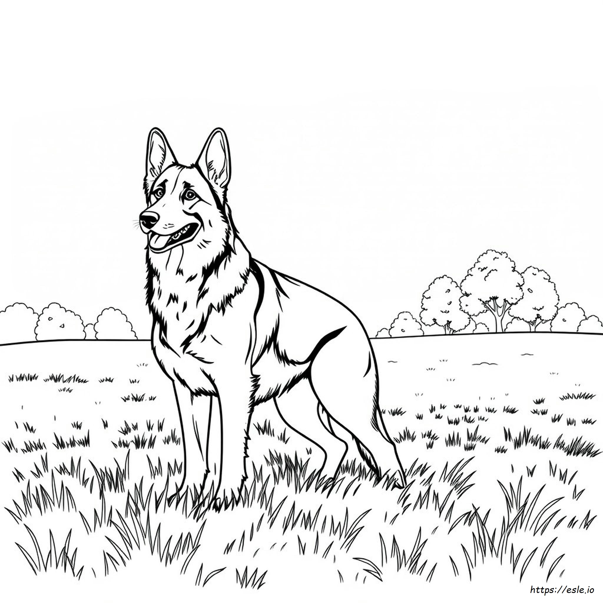 Realistic German Shepherd Coloring Pages