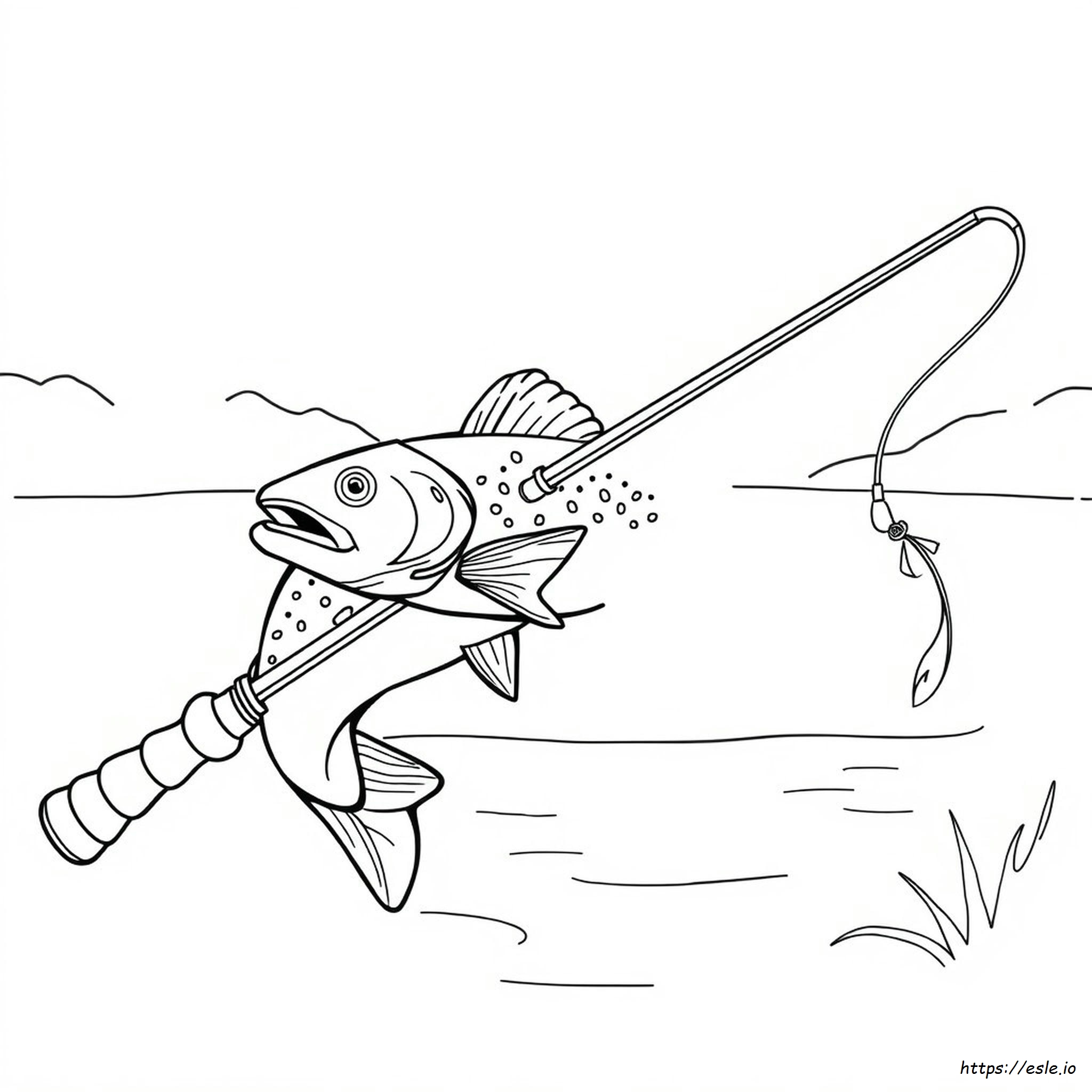 Trout Coloring Page - Free Printable PDF