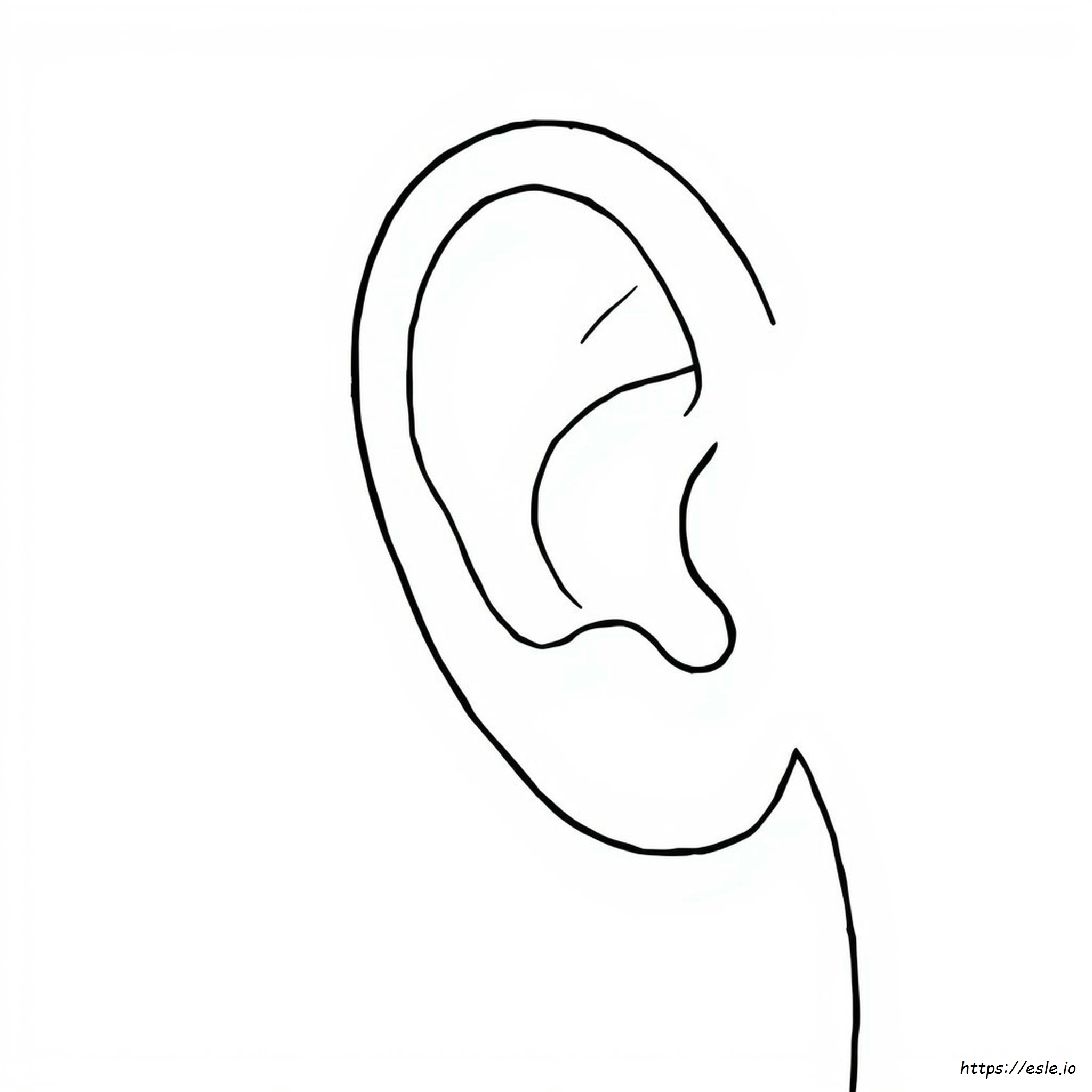 The Ear Coloring Page