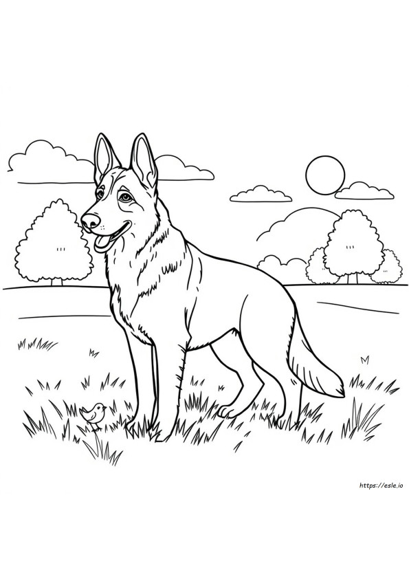 Pagina Da Colorare Del Cane Pastore Tedesco
