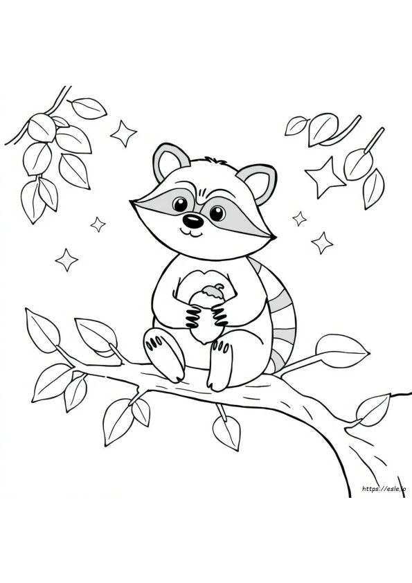 Coloring Page Of A Raccoon