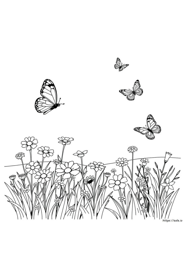 Colorit Pagine Da Colorare Gratis