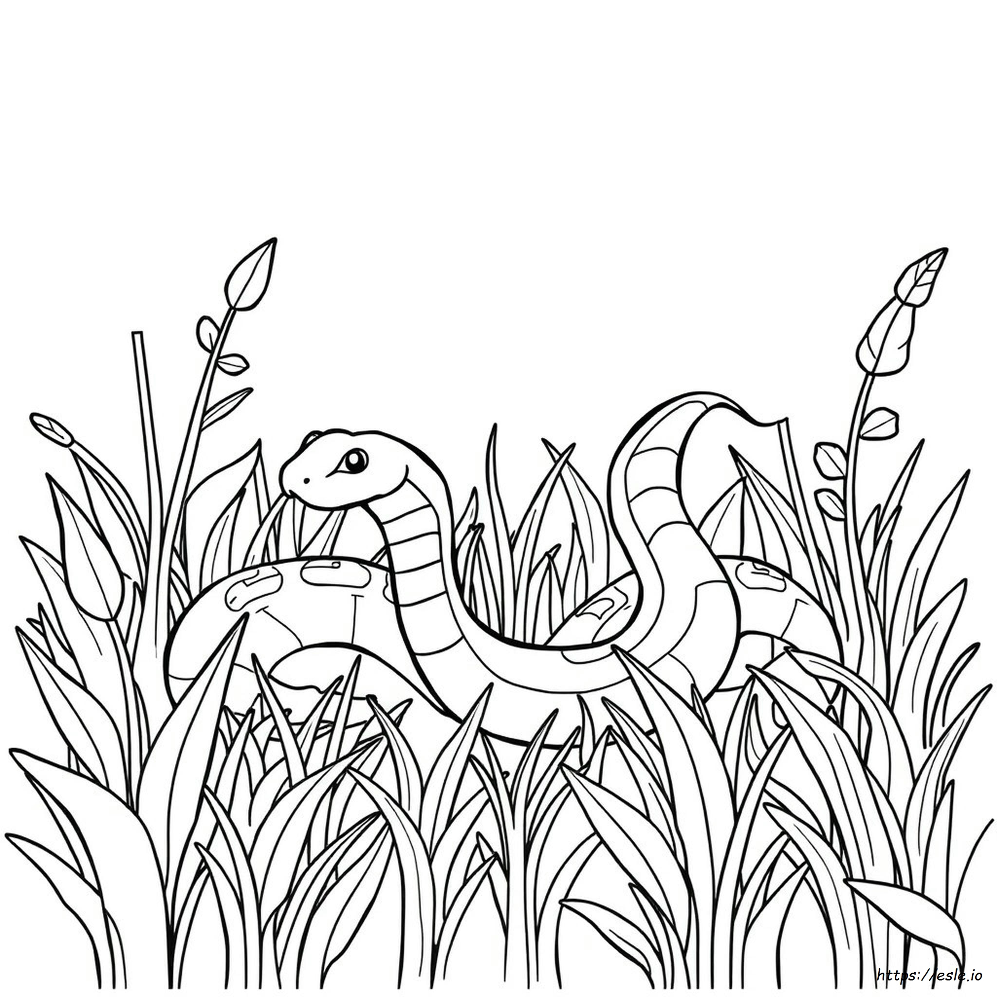 Free Printable Snake Coloring Page