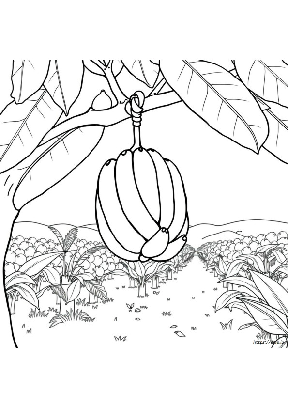 Printable Banana Colouring