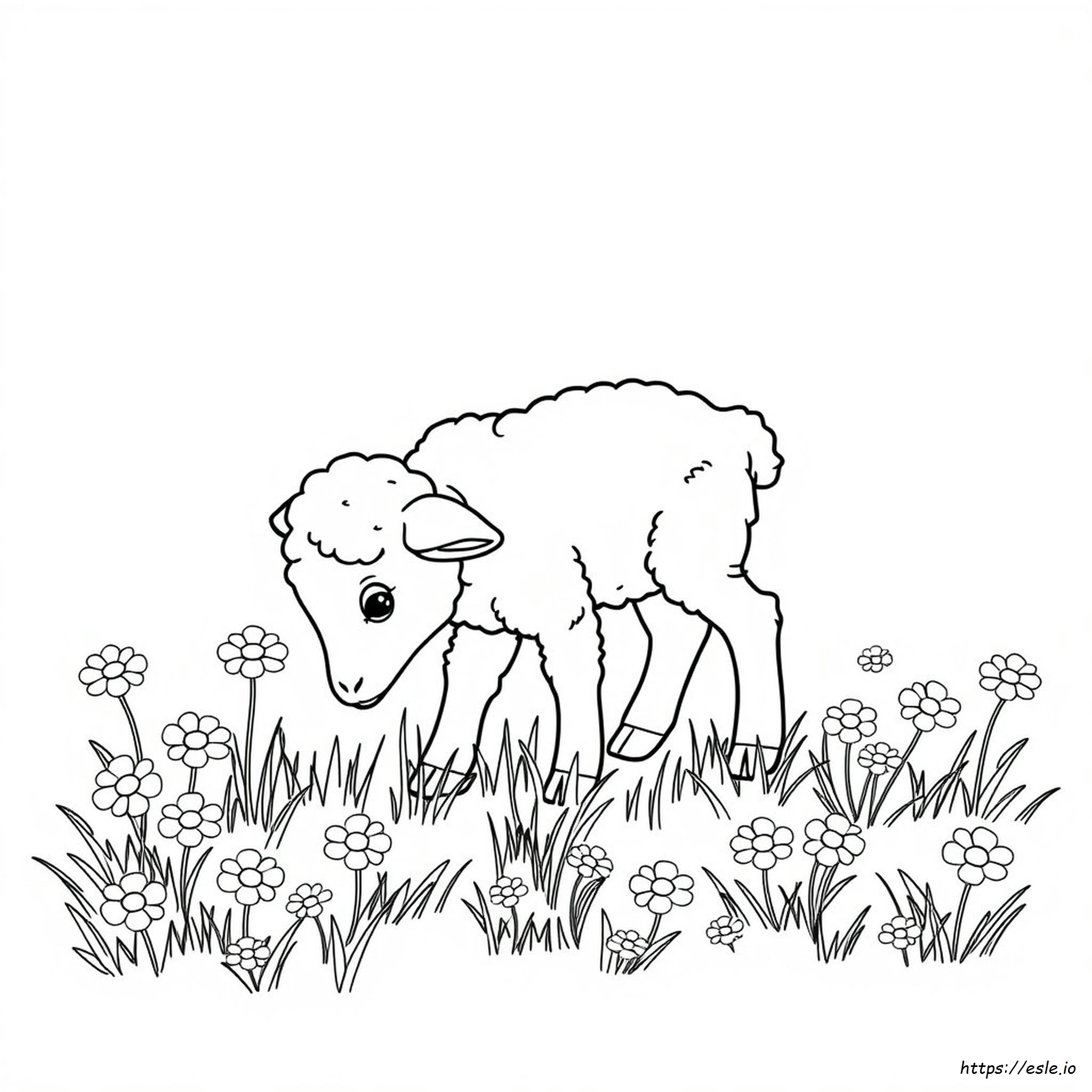 Little Lamb Coloring Page