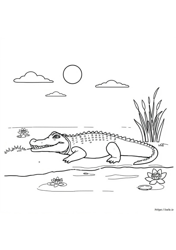 Crocodile Colouring Page