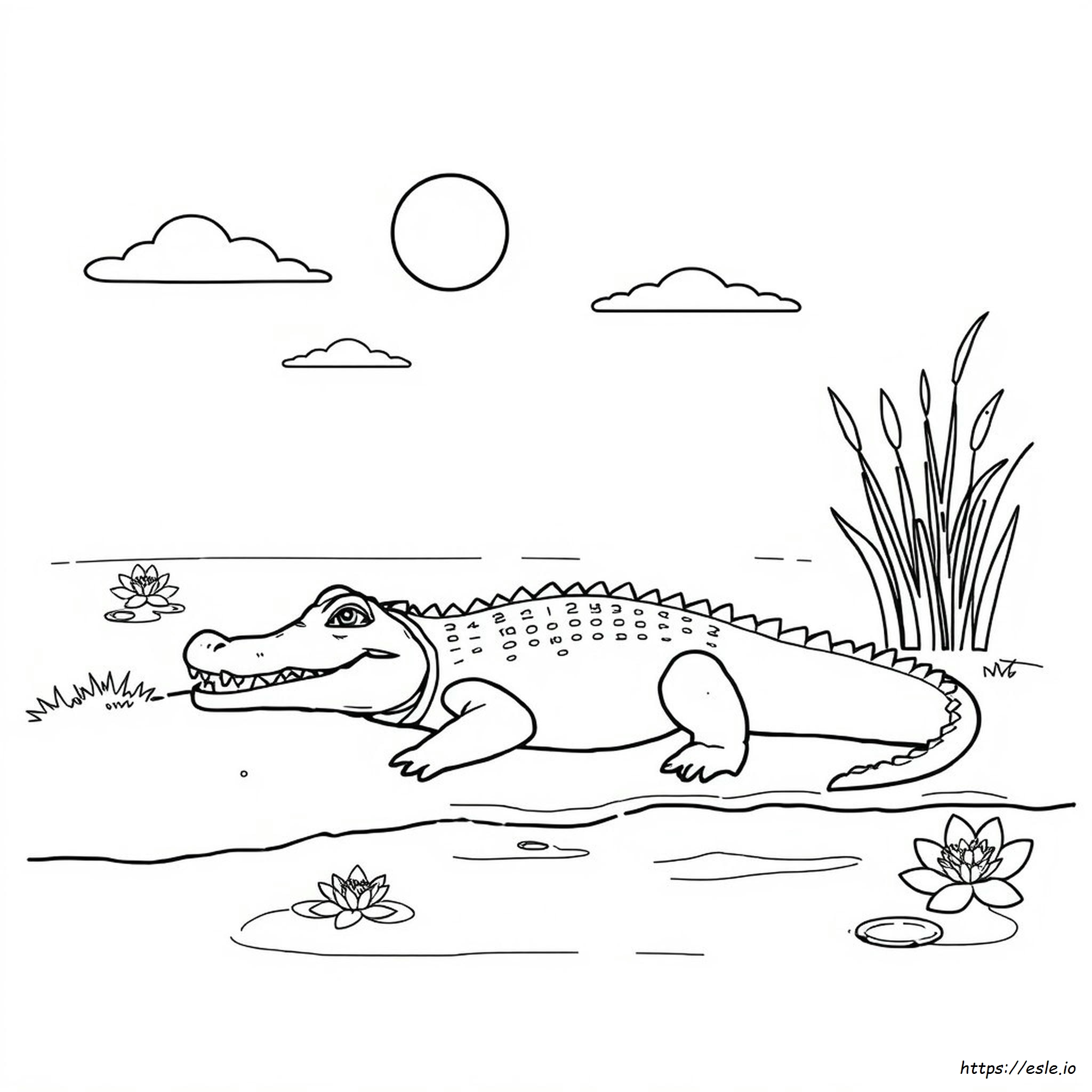 Coccodrillo Da Colorare - Disegno Gratuito