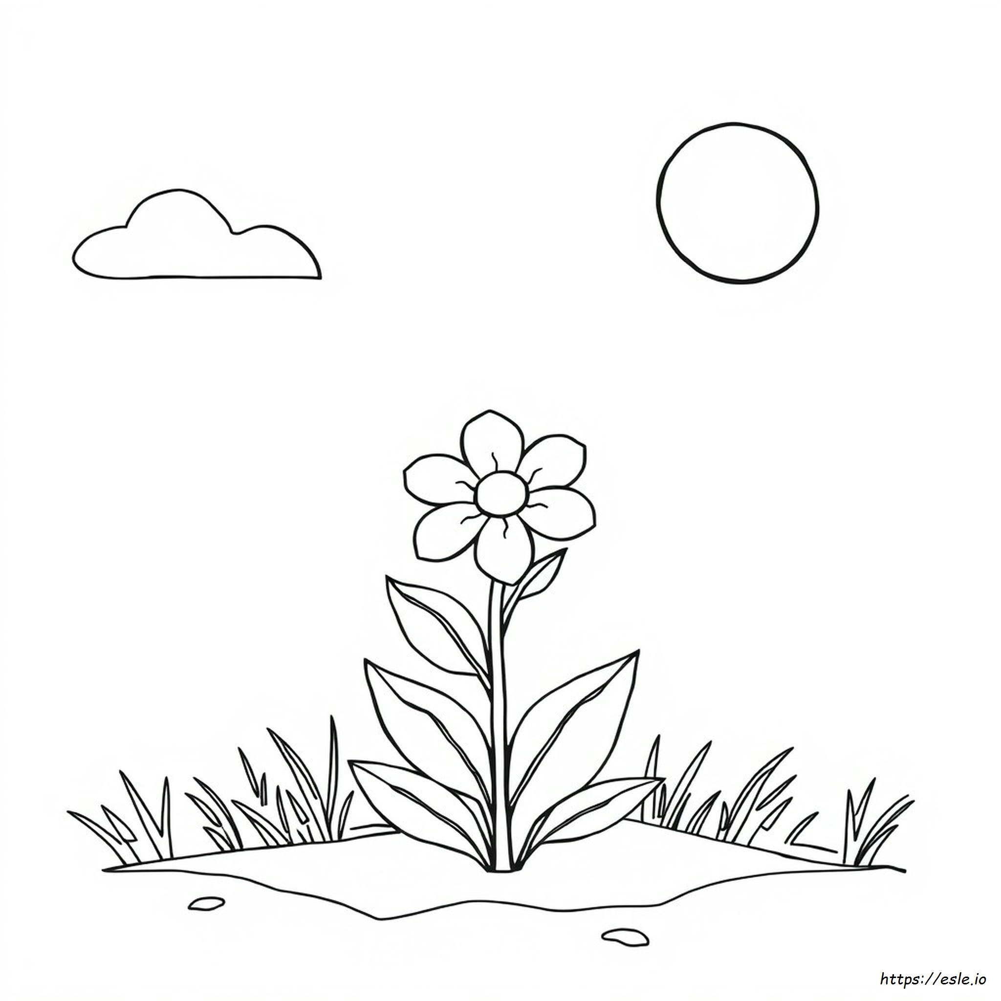Large Printable Flower Coloring Pages