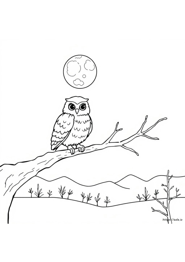 Hedwig Boyama