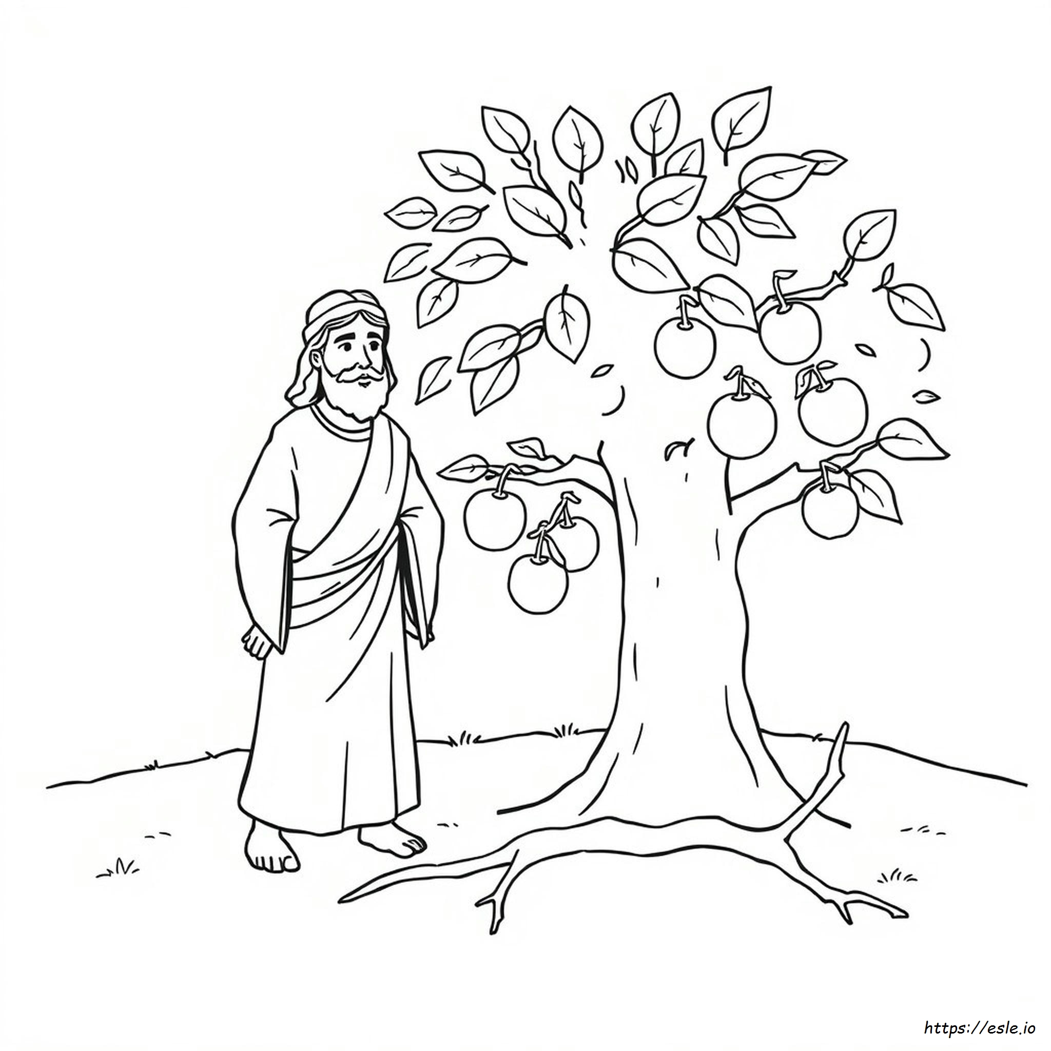 Yesus Dan Pohon Ara Gambar Mewarnai