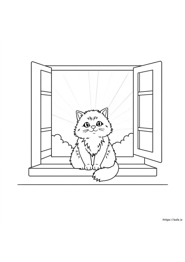 Kedi Boyama Resmi