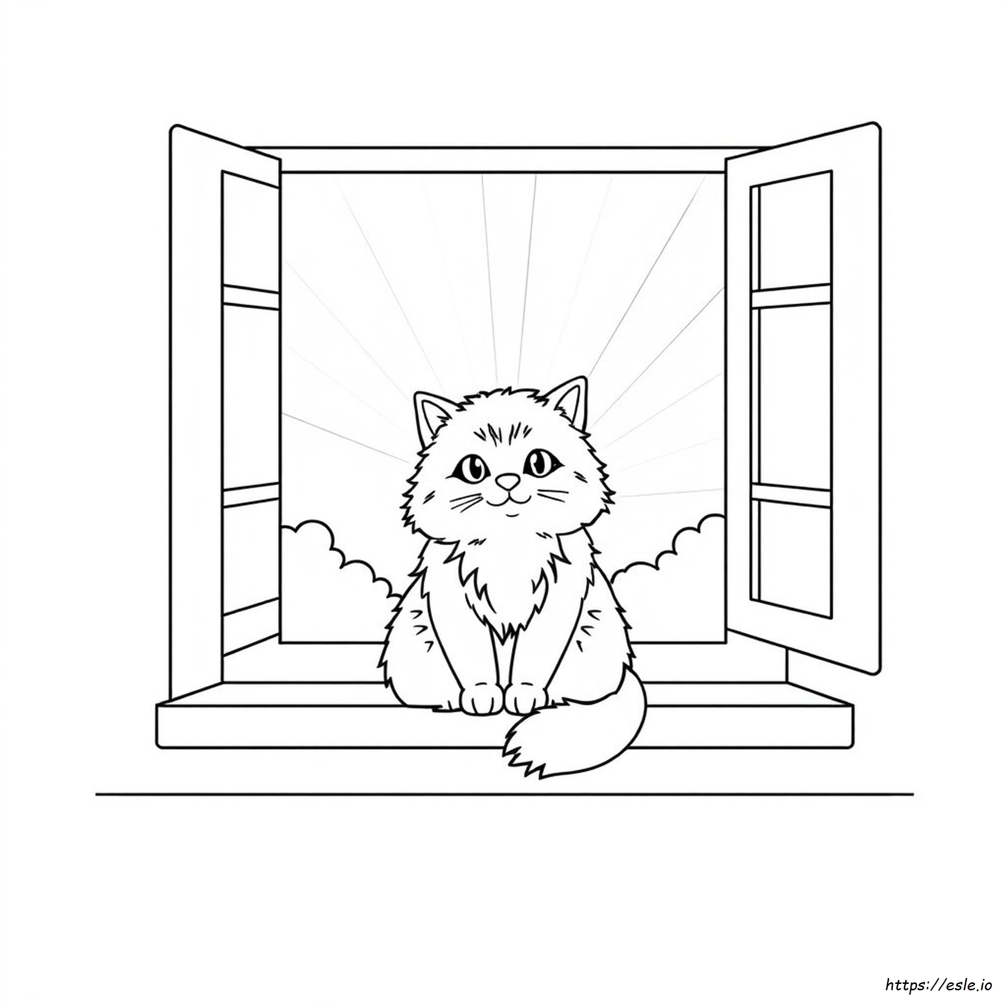 Gambar Mewarnai Kucing