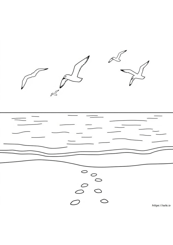 Ocean Colouring Pictures