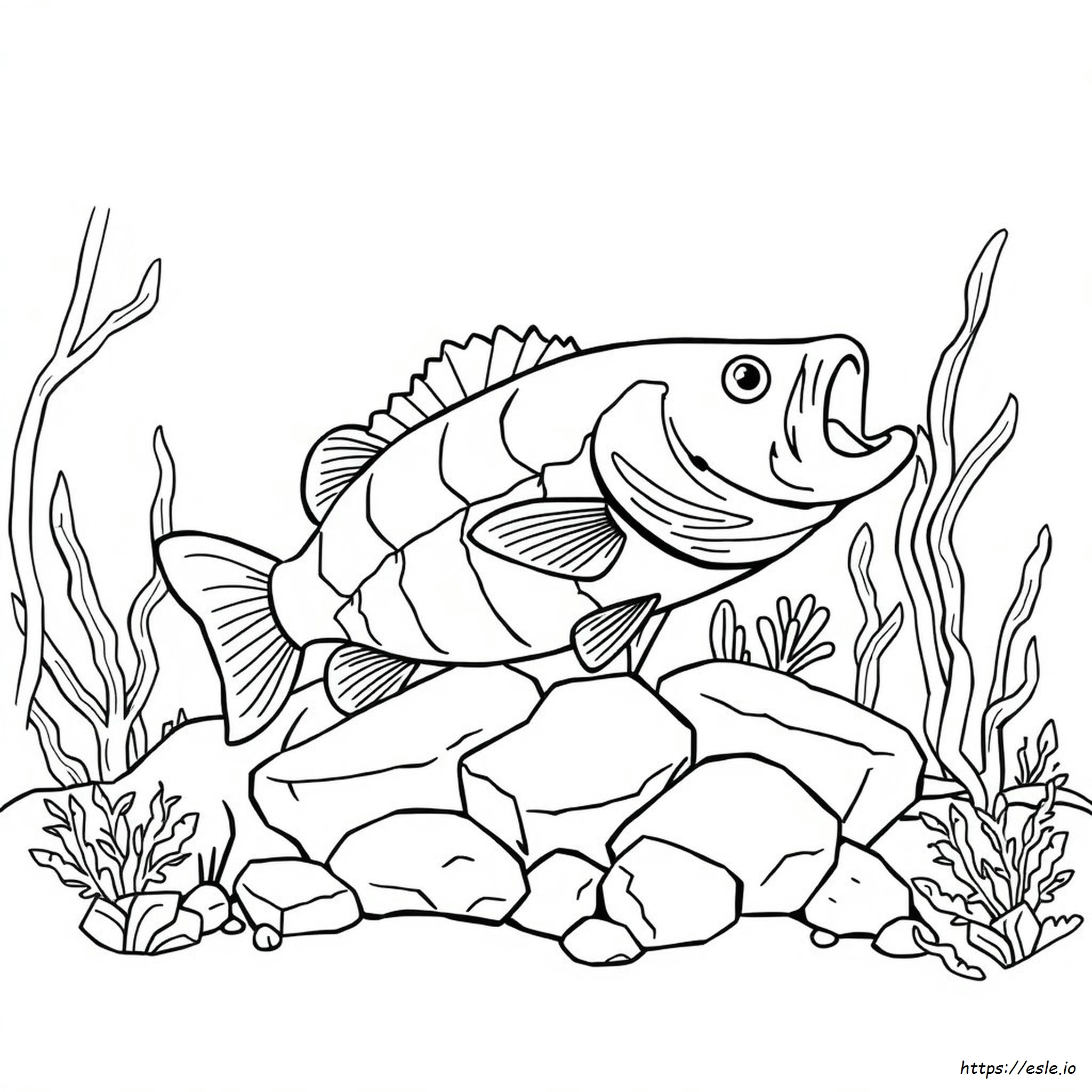 Realistic Bass Coloring Page