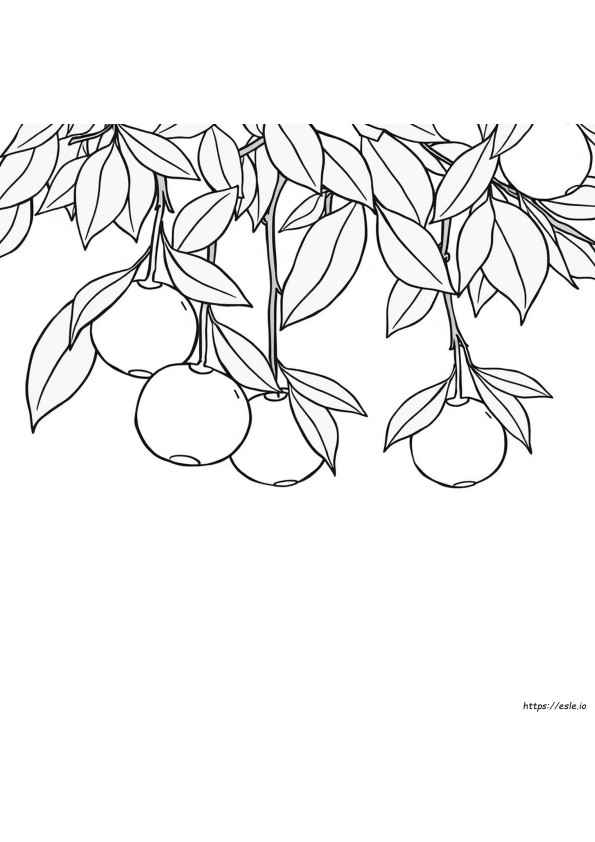 O For Orange Coloring Page