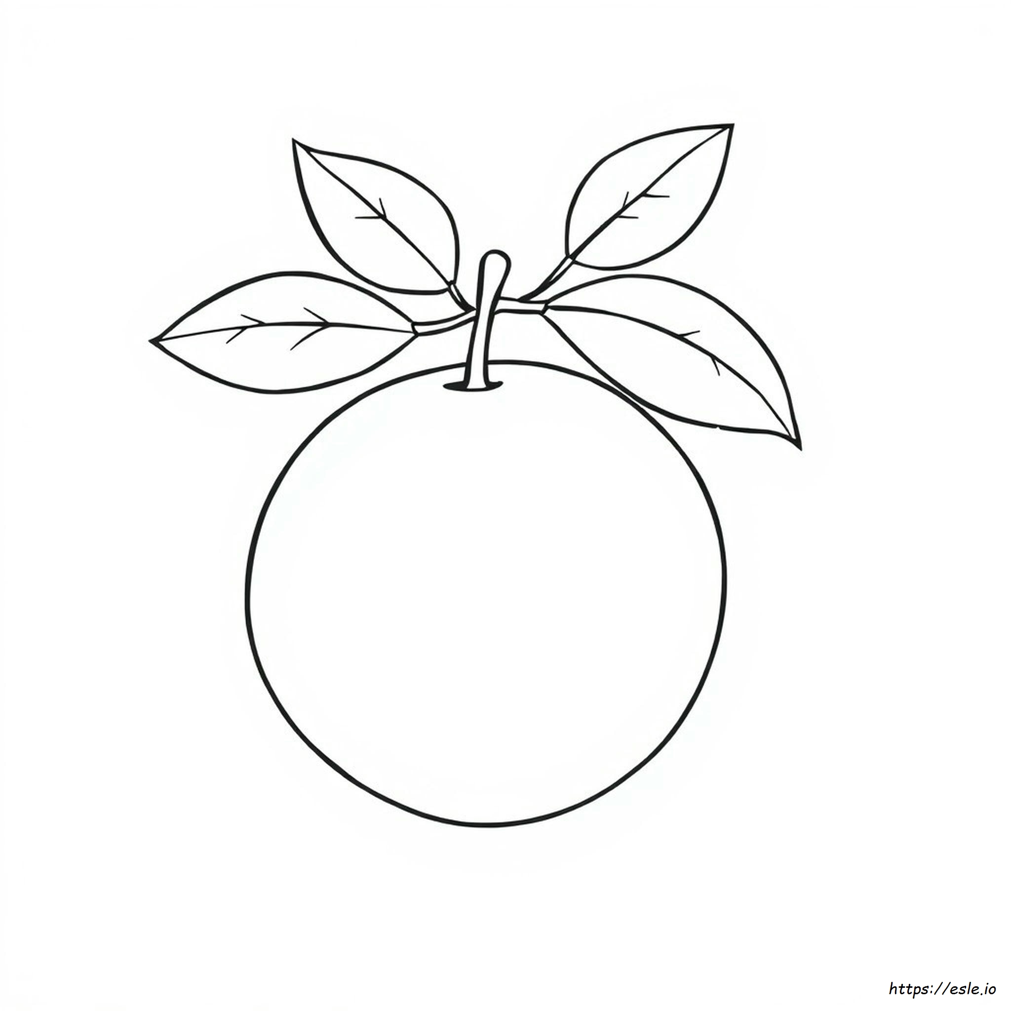Clipart Orange Colouring