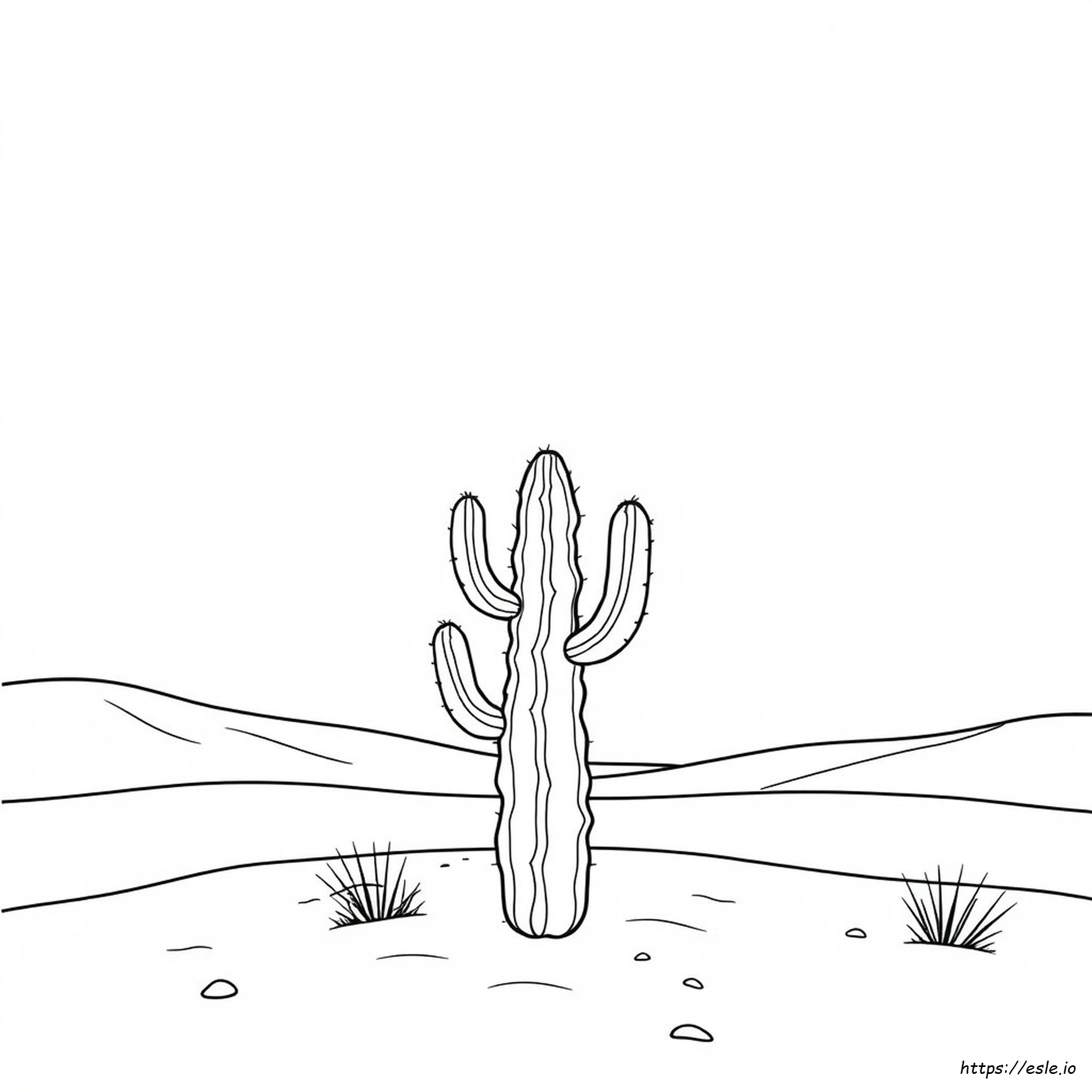 Cactus Plant Coloring Pages - Free Printable PDF