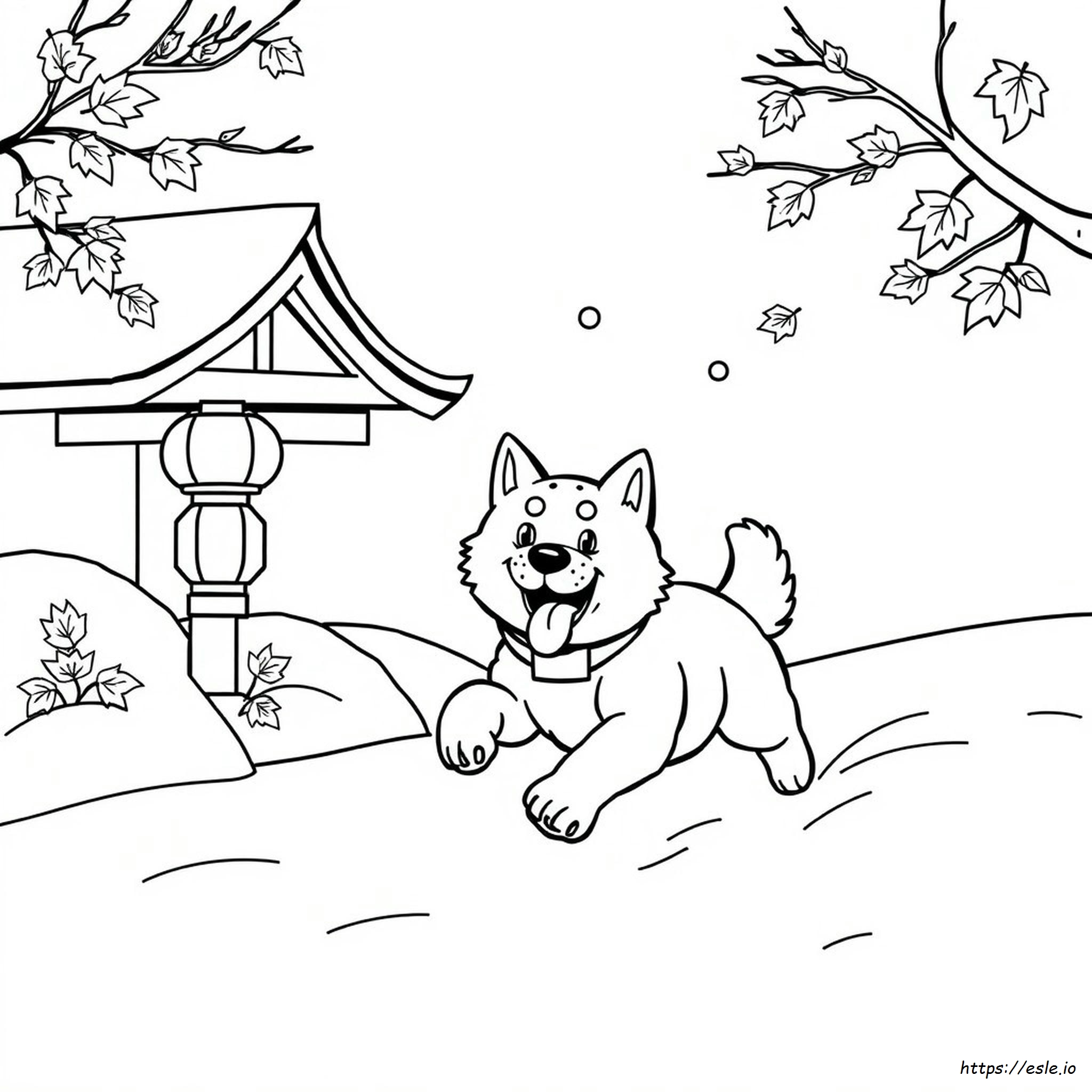 Simbol Hoki Gambar Mewarnai