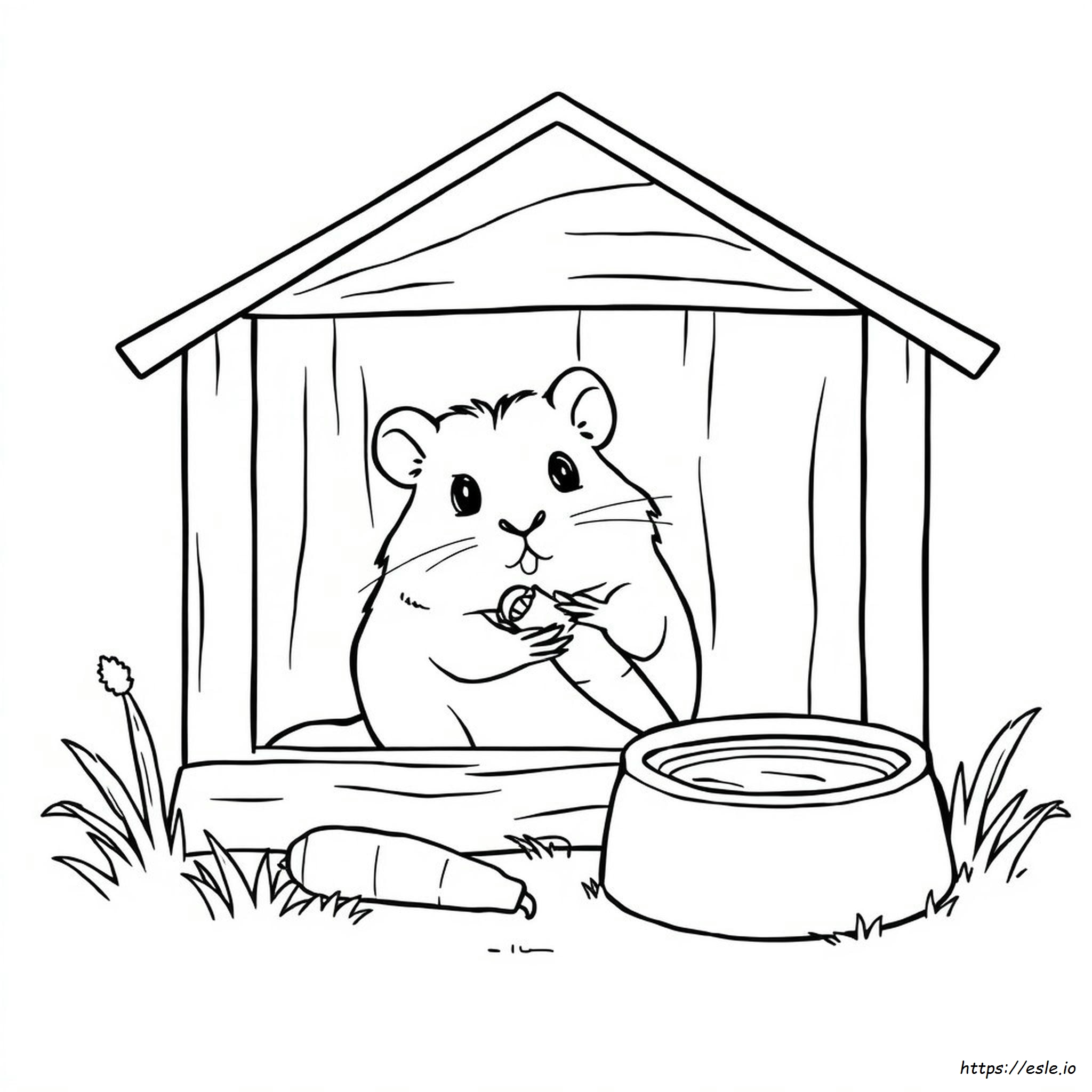 Hamster Boyama Sayfası