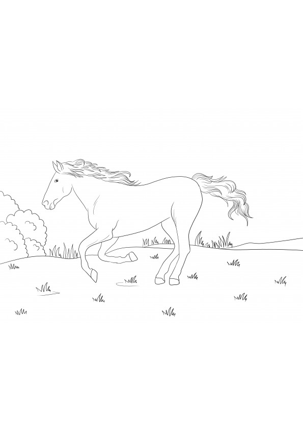 Mustang Atı, çocukların boyaması için ücretsiz baskı veya indirme ile komşu