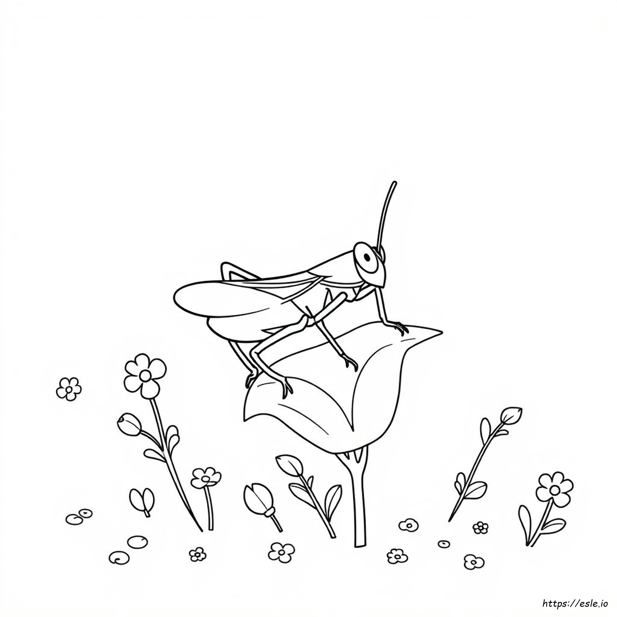 Cricket Coloring Pages for Kids - Free Printable