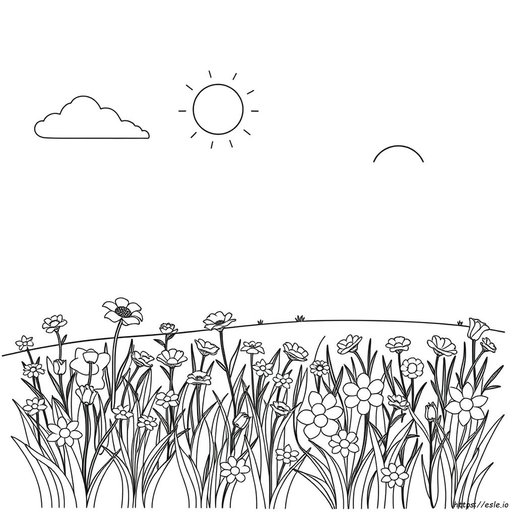 A4 Colouring Pictures